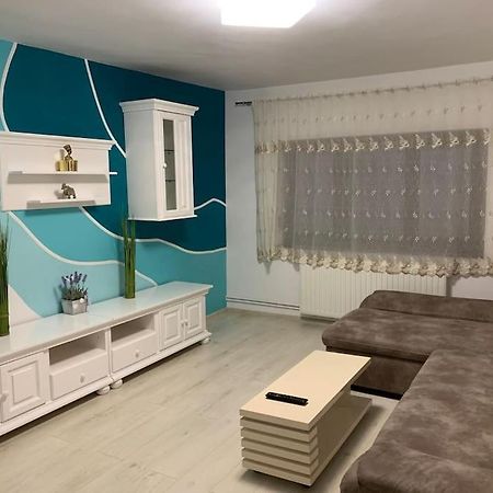 Apartament 3 Camere Spatios Timişoara Exterior foto